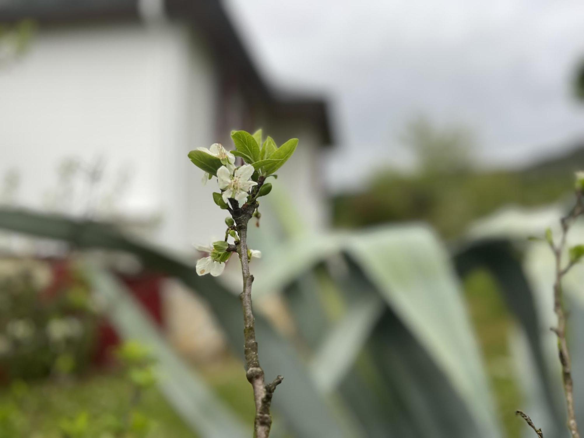 A Casina Casa Rural En Galicia Orense Szoba fotó