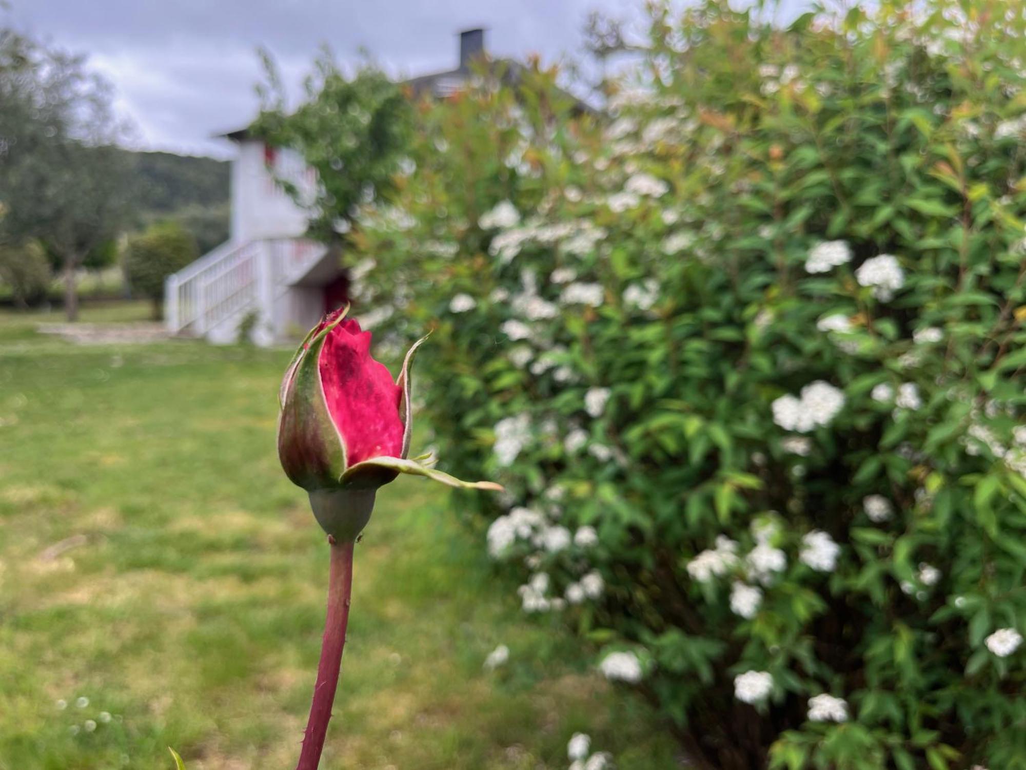 A Casina Casa Rural En Galicia Orense Kültér fotó