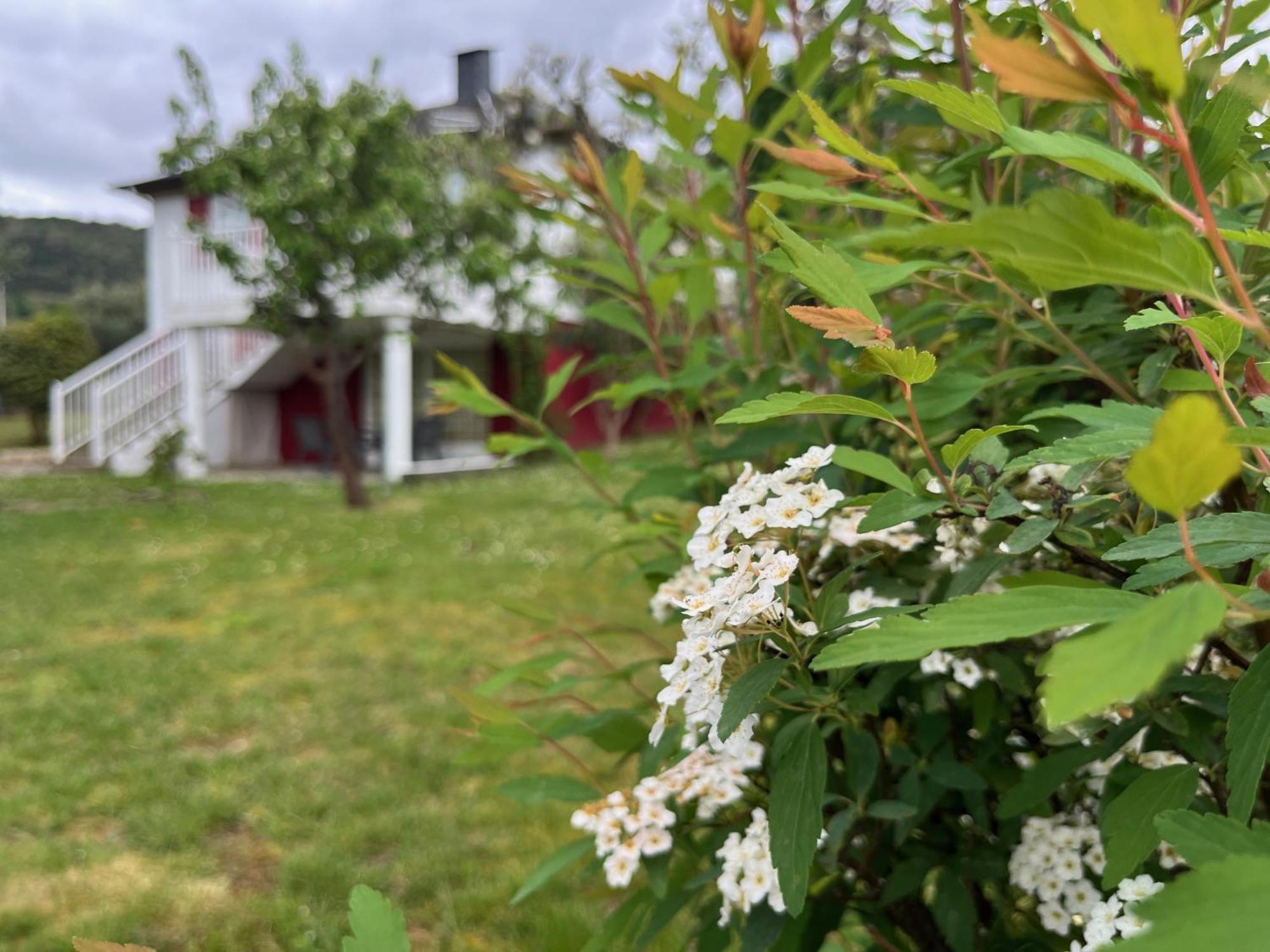 A Casina Casa Rural En Galicia Orense Kültér fotó